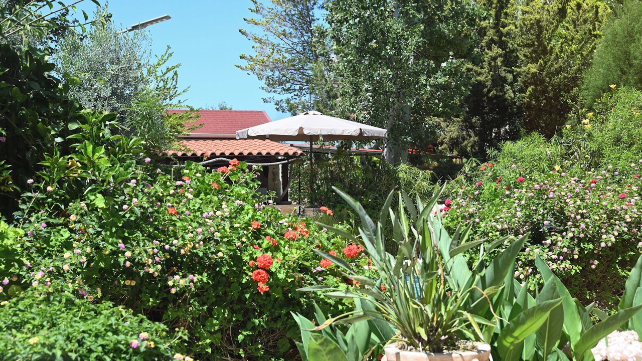 Photo of Outdoor in Argaka