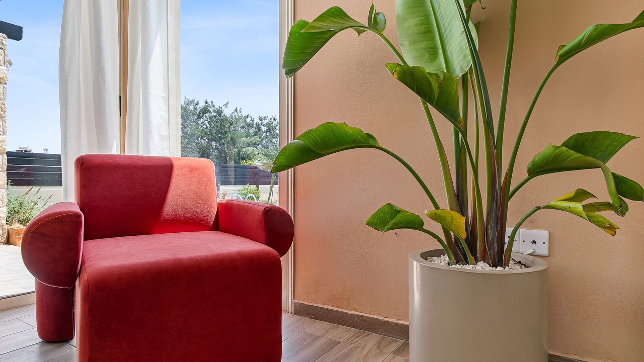 Photo of Livingroom in Peyia Town