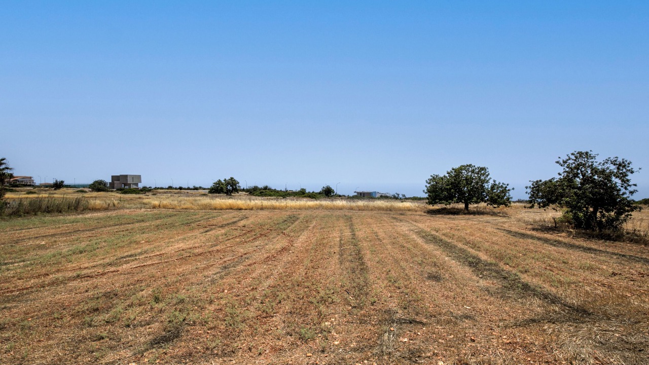 Photo of Others in Peyia Town