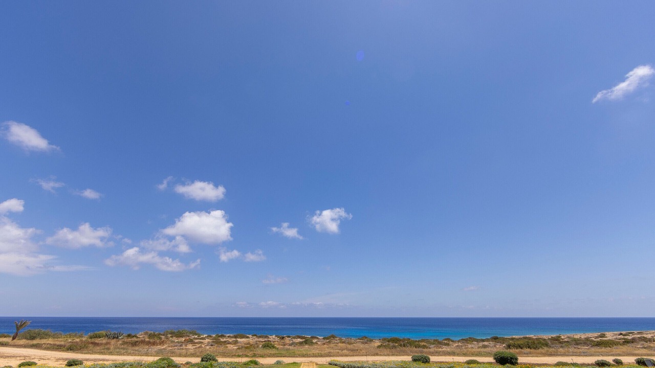Photo of Others in Cape Greko