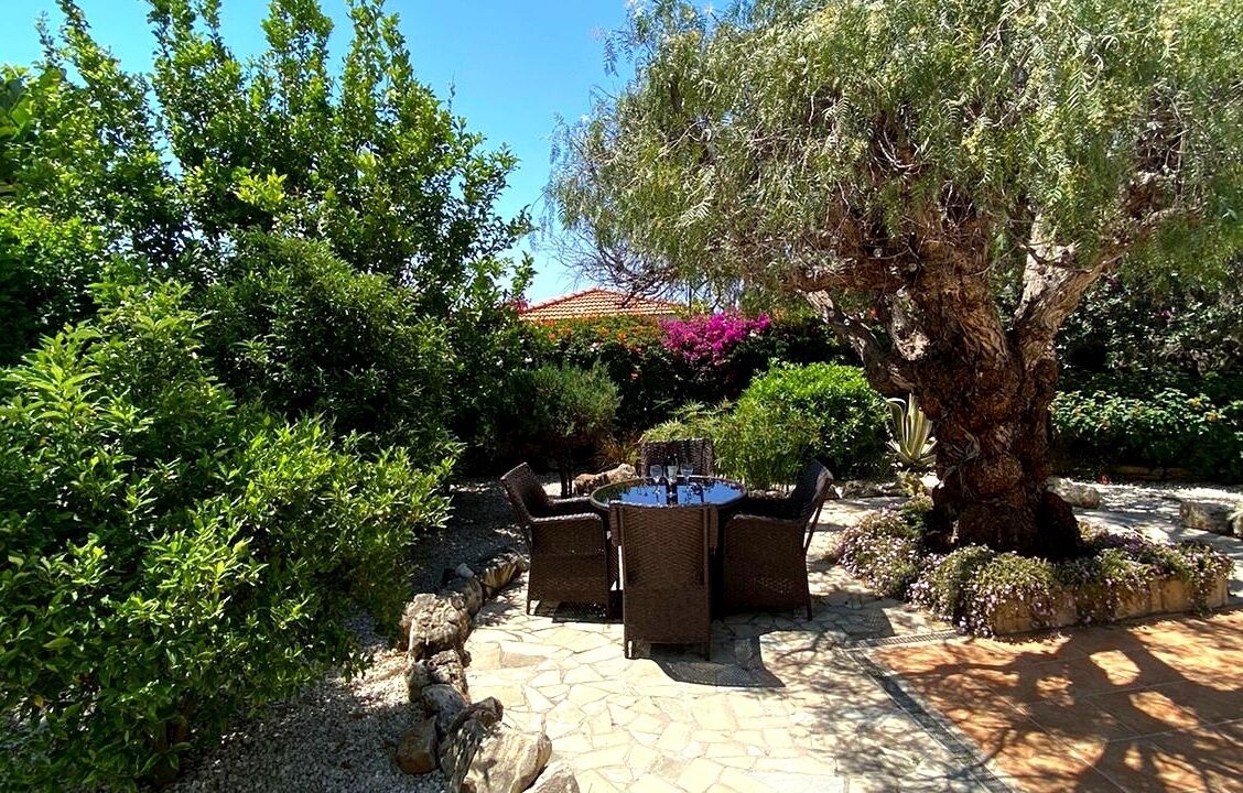 Photo of Outdoor in Peyia Town