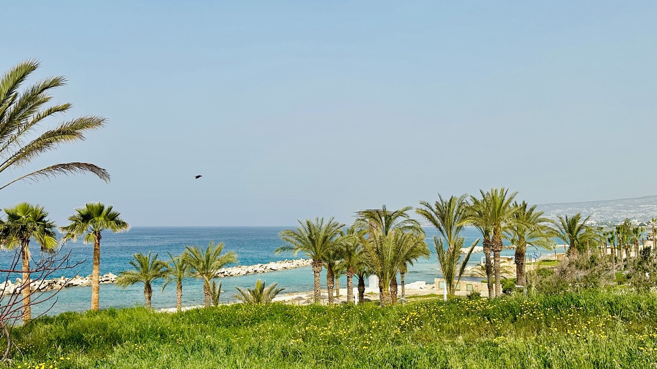 Photo of Others in Paphos