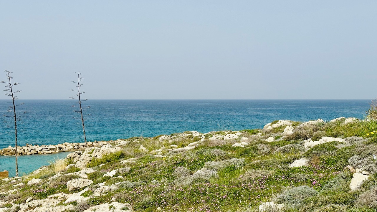 Photo of Others in Paphos