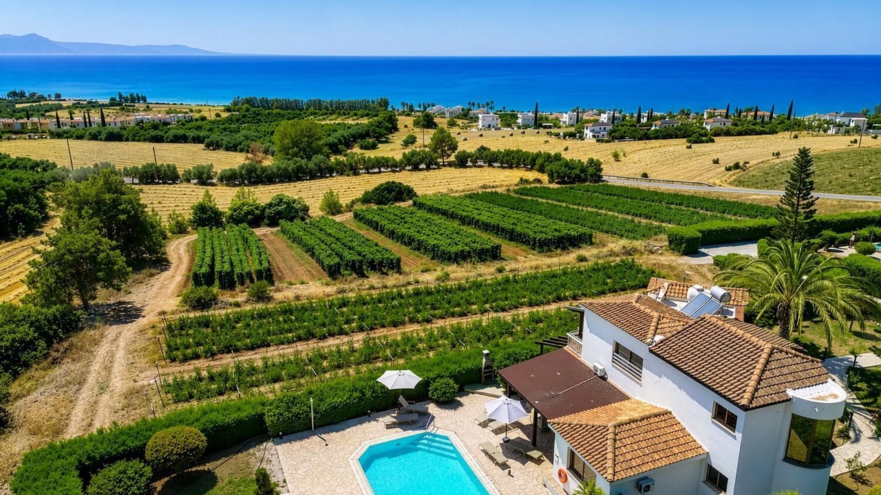 Photo of Outdoor in Argaka