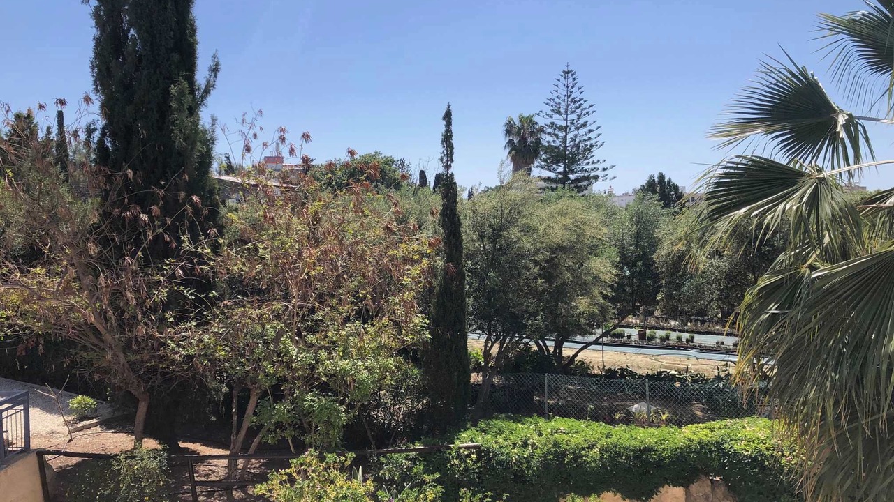 Photo of Outdoor in Paphos