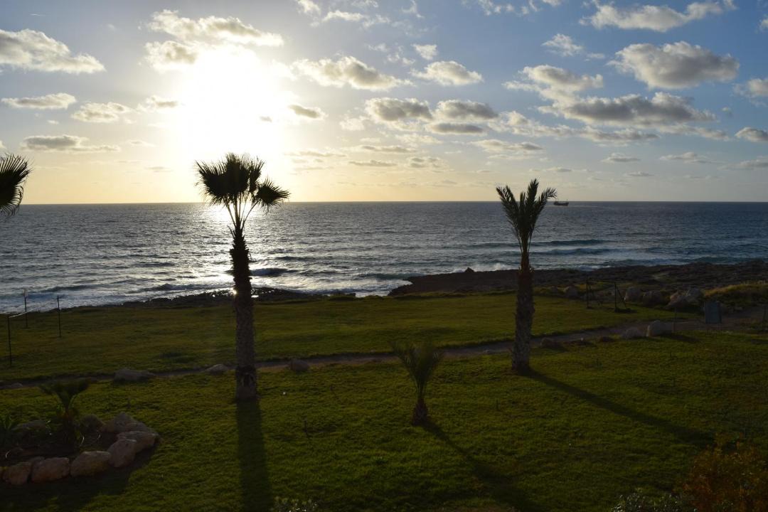 Photo of Others in Paphos