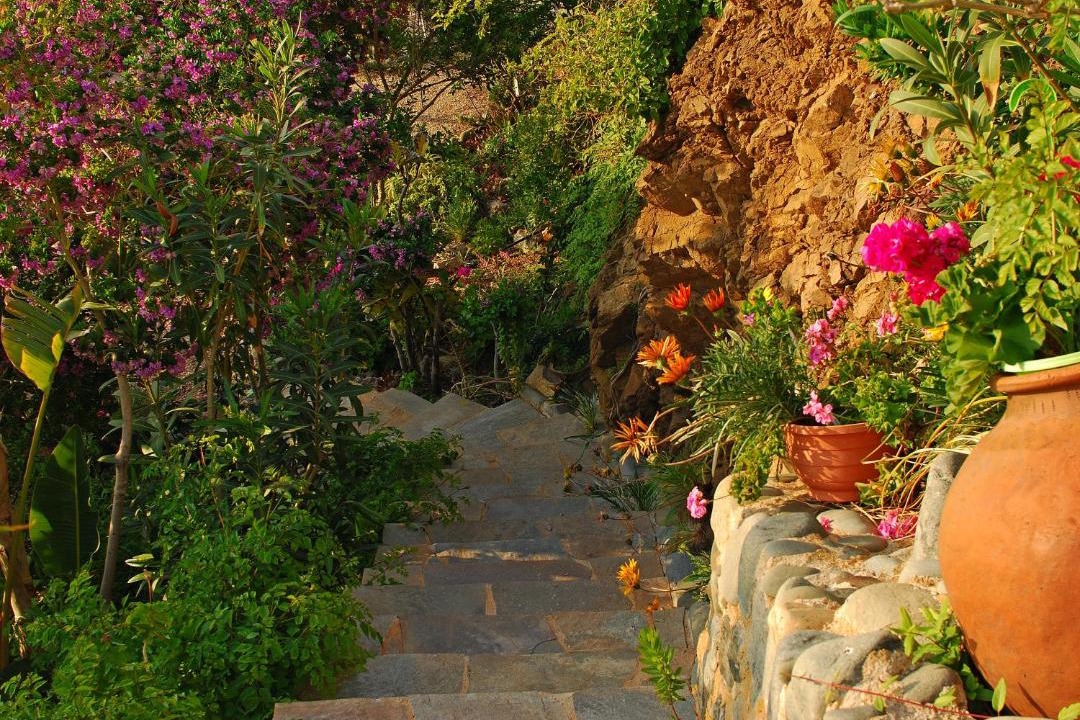 Photo of Others in Pomos