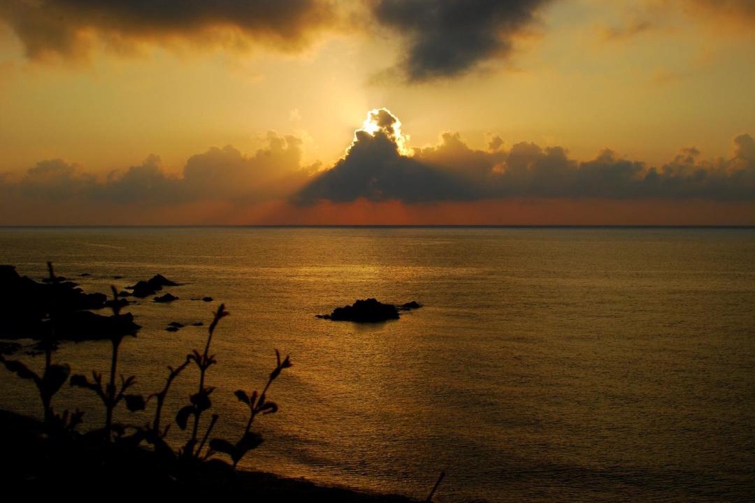 Photo of Others in Pomos