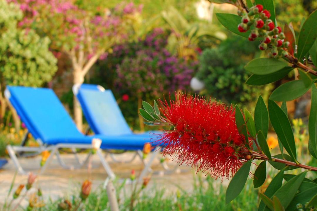 Photo of Others in Pomos