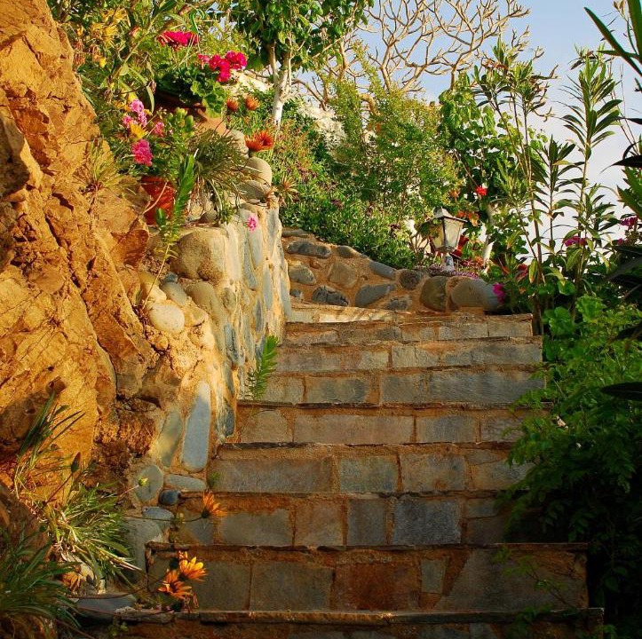 Photo of Others in Pomos