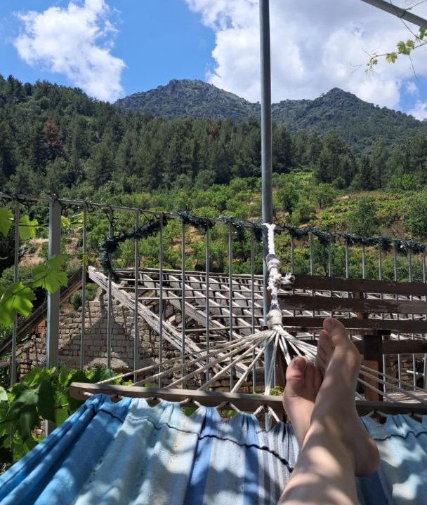 Photo of Others in Politiko