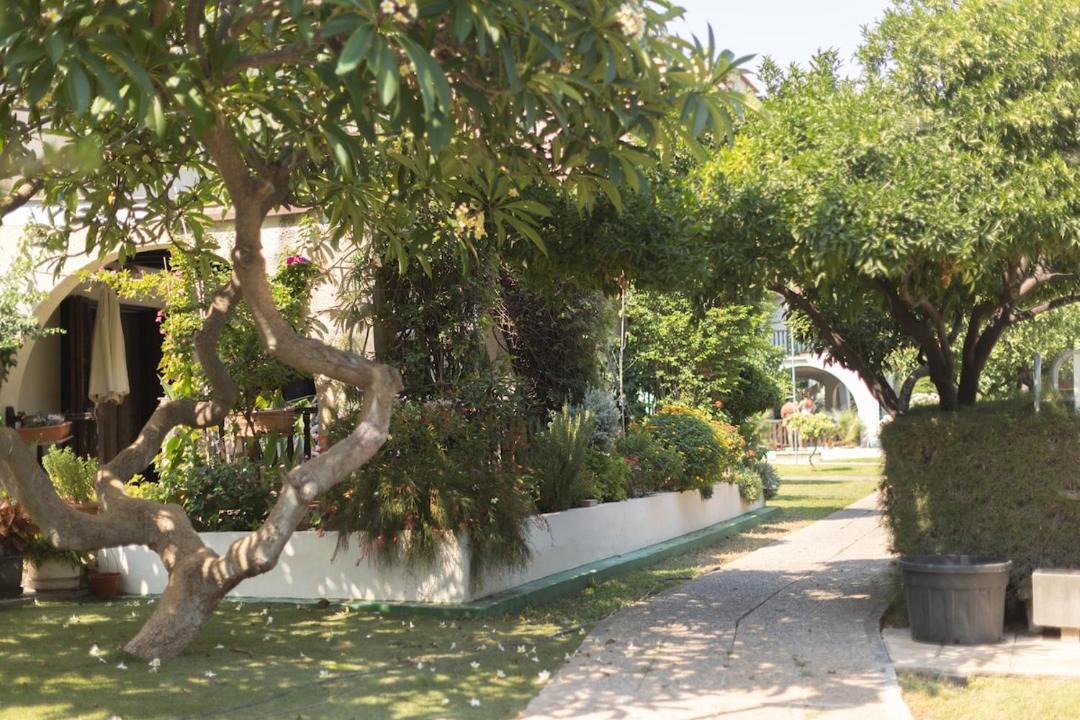 Photo of Others in Agios Tychon