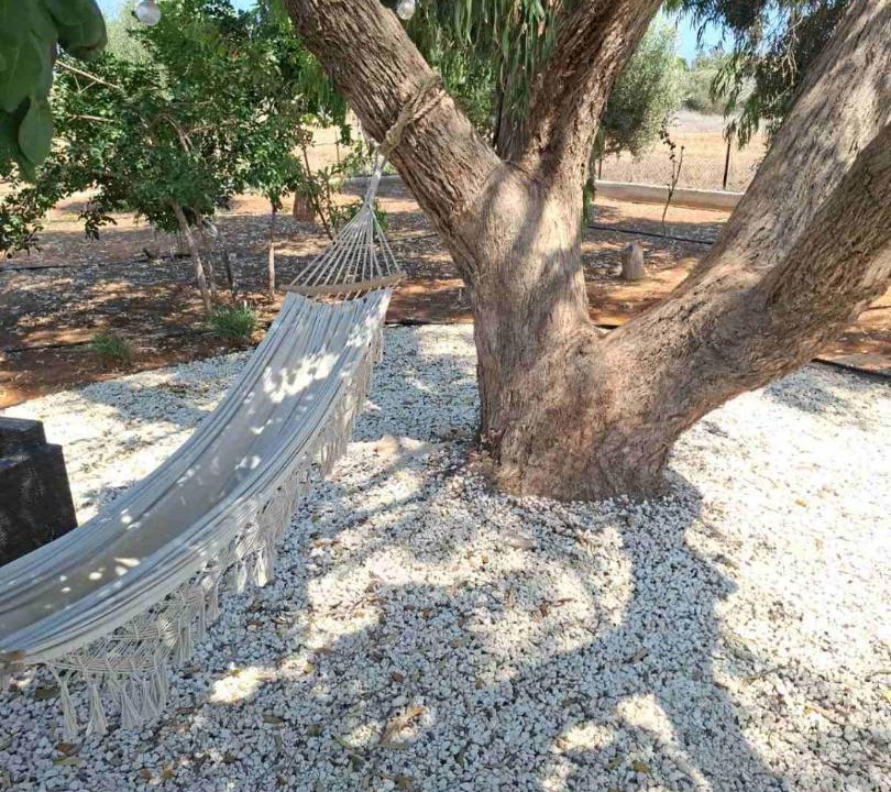Photo of Others in Protaras