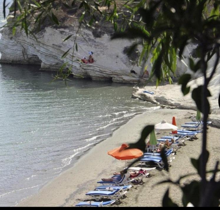 Photo of Others in Kalavasos