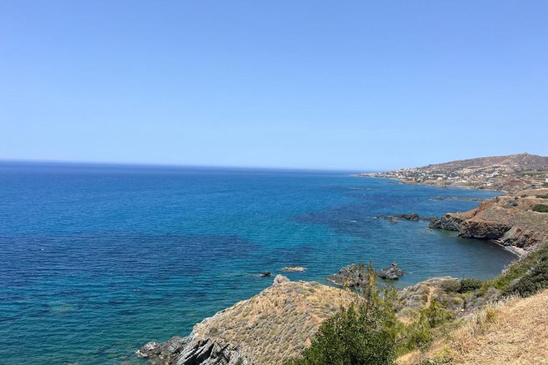 Photo of Others in Tala