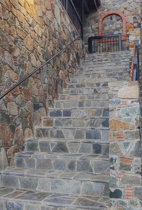 Photo of Others in Agros