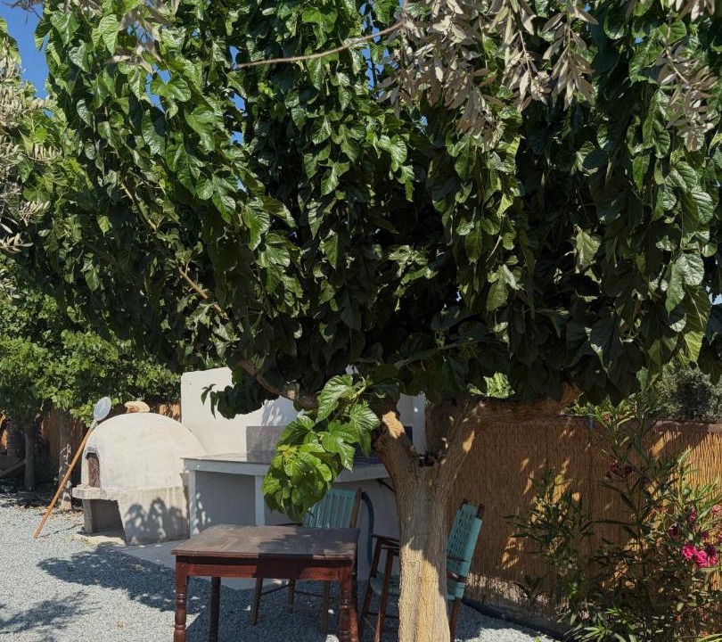 Photo of Others in Agios Georgios Pegeias