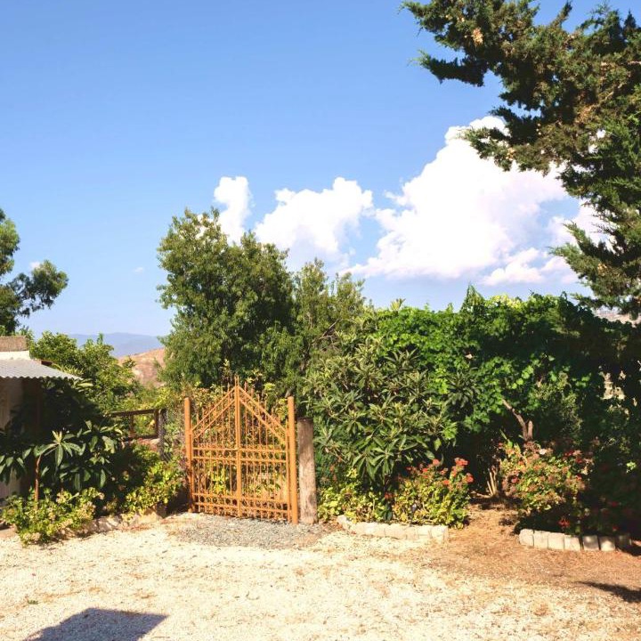 Photo of Others in Miliou