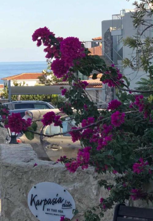 Photo of Others in Esentepe