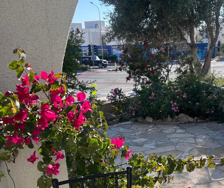 Photo of Others in Paphos