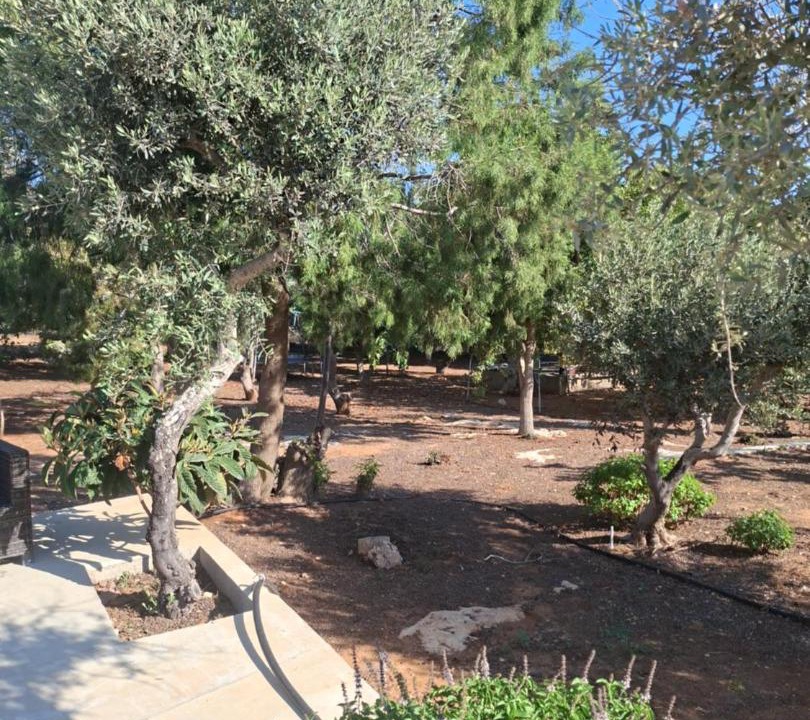 Photo of Others in Protaras