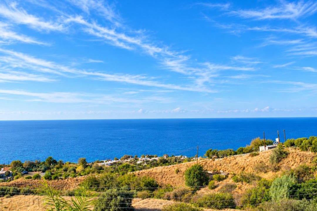 Photo of Others in Pomos