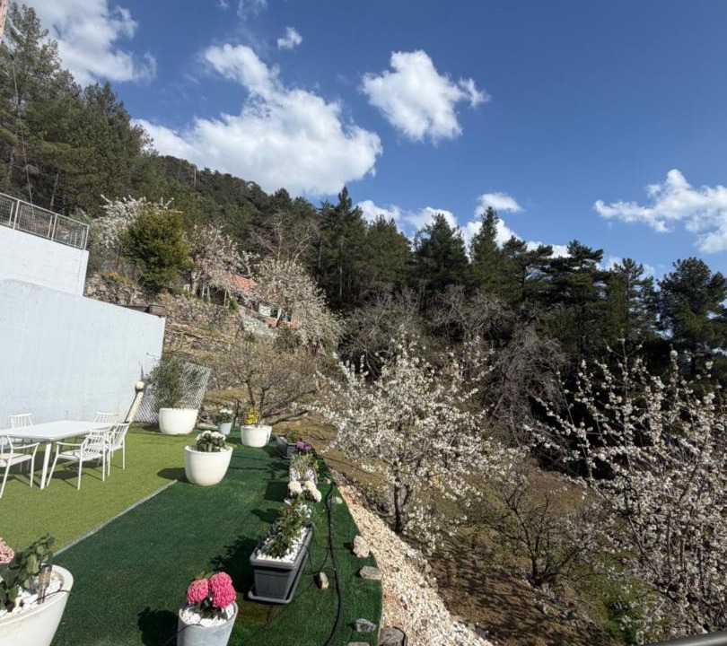 Photo of Others in Prodromos
