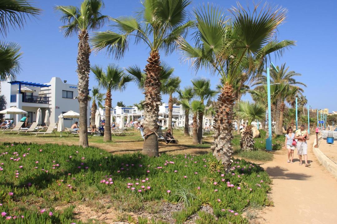 Photo of Others in Ayia Napa