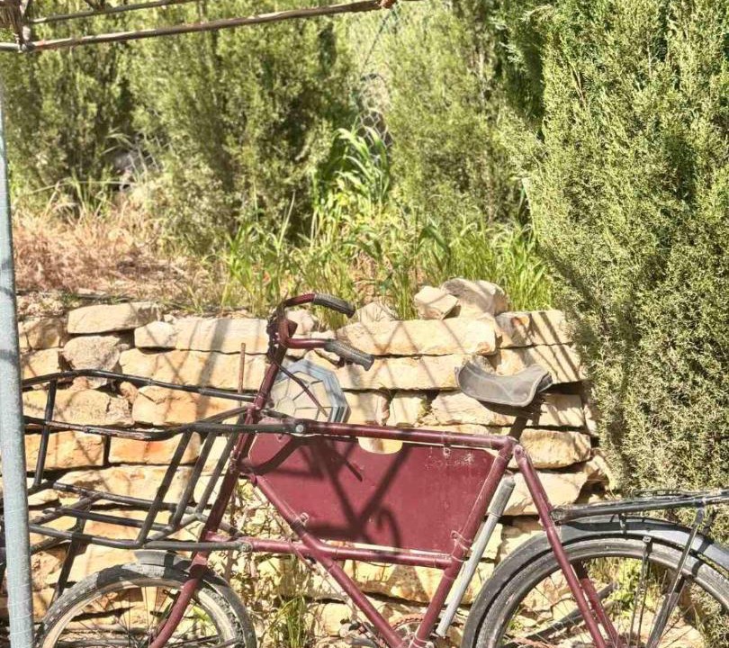 Photo of Others in Lofou