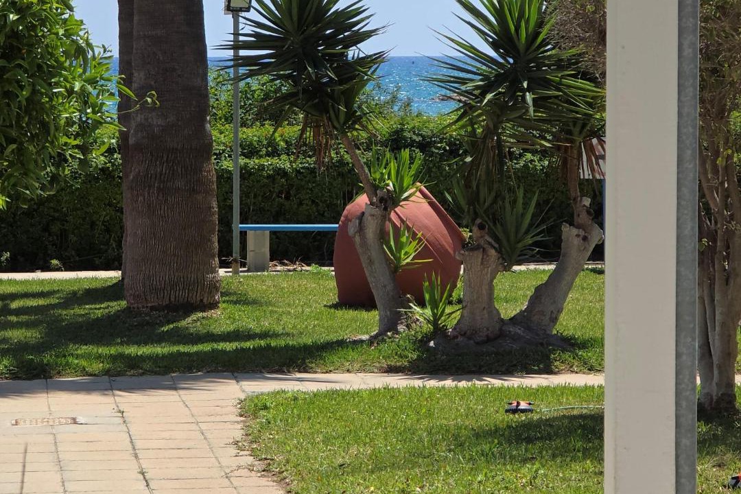 Photo of Others in Pyla