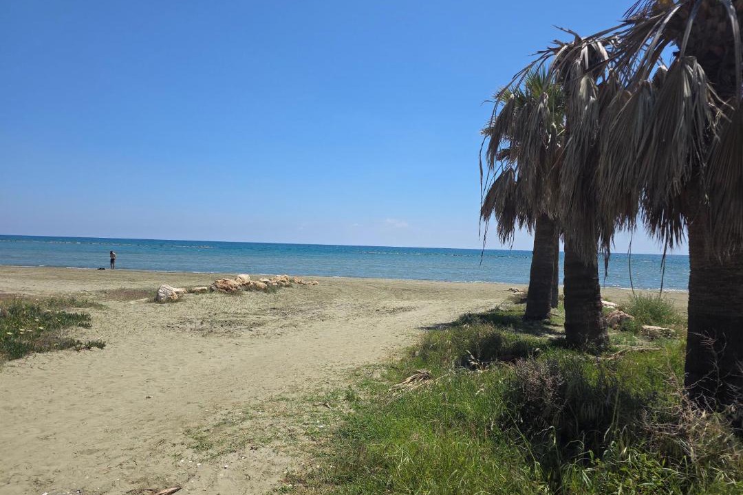 Photo of Others in Pyla