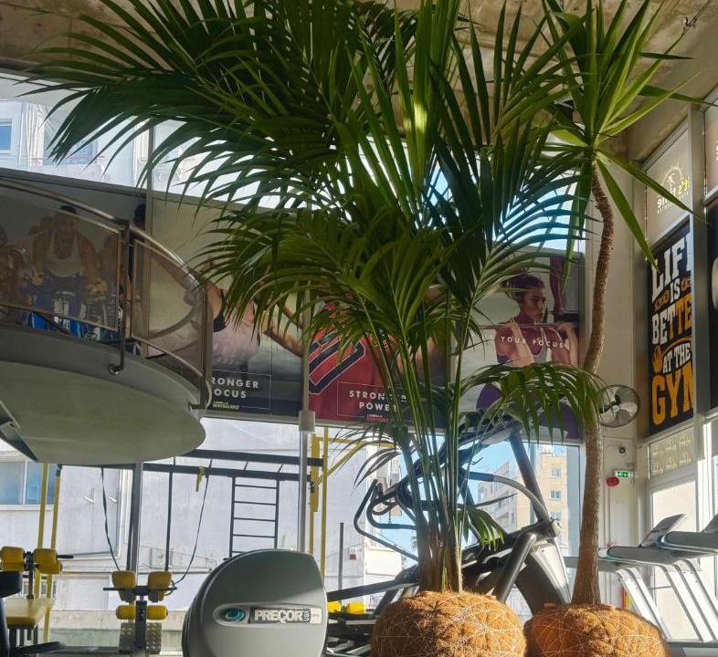 Photo of Others in Larnaca City Centre