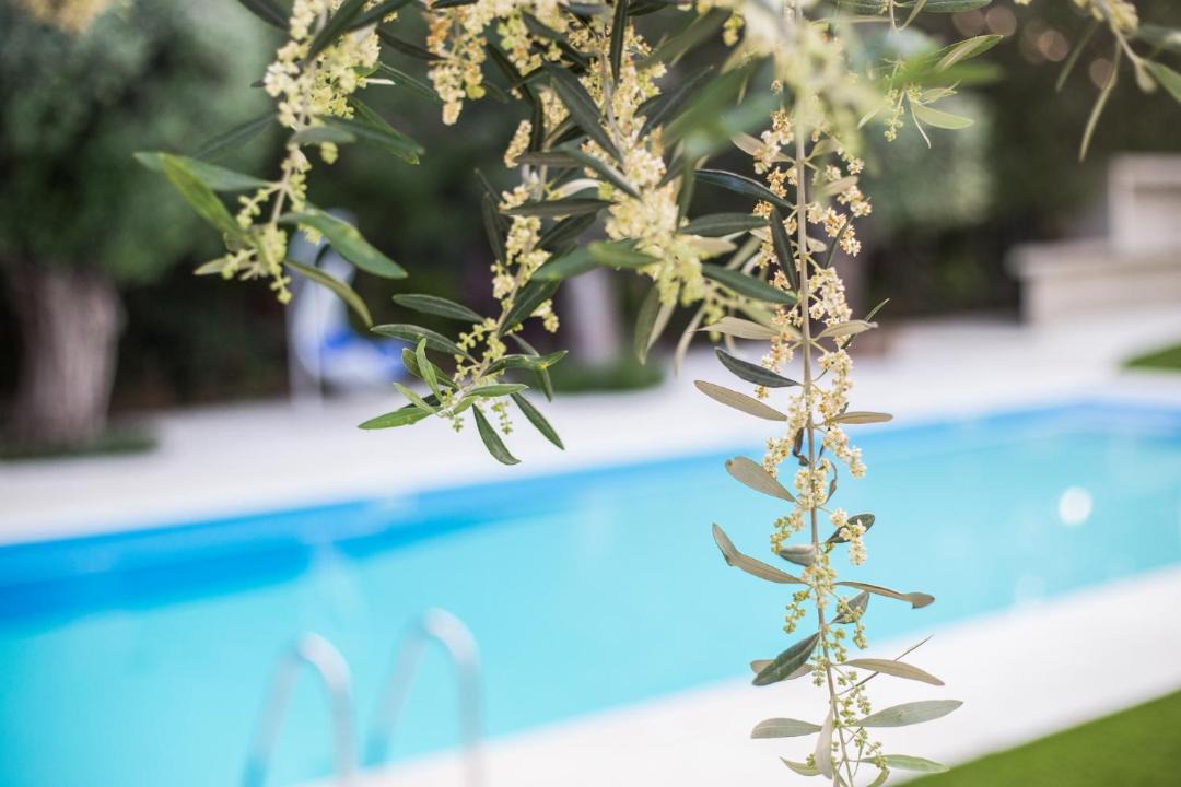 Photo of Others in Potamos tis Germasogeias