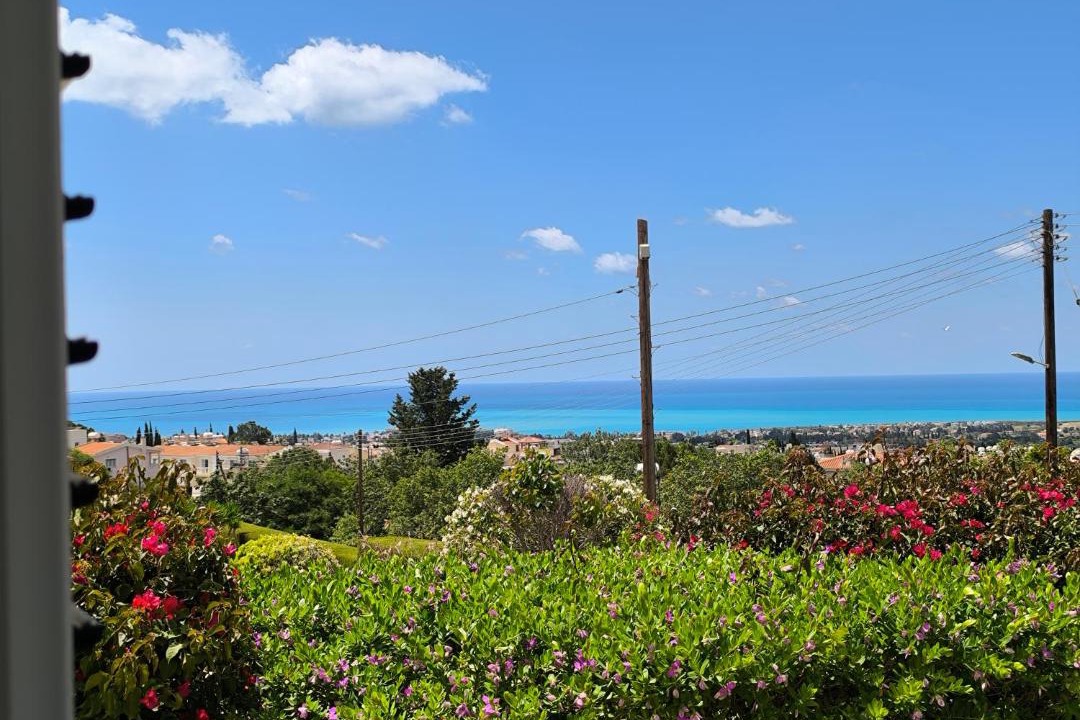 Photo of Others in Peyia Town