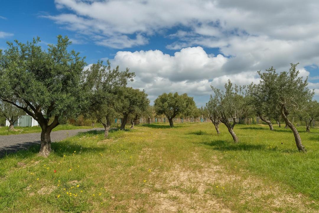 Photo of Others in Agios Georgios Pegeias
