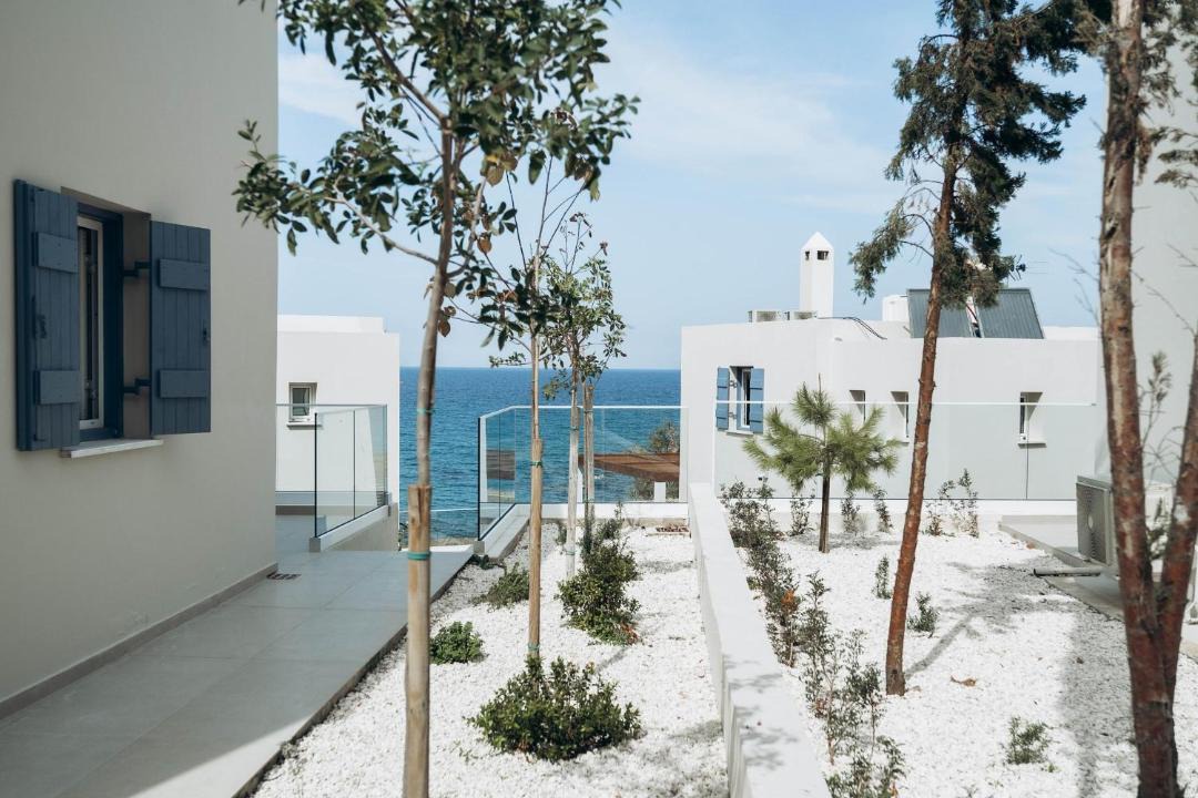 Photo of Others in Pachyammos
