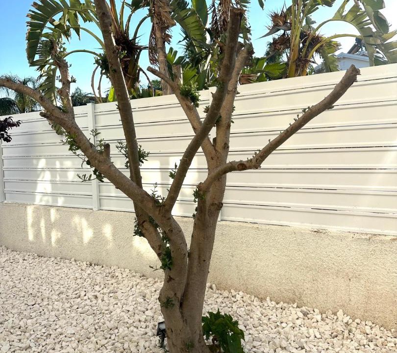 Photo of Others in Paralimni