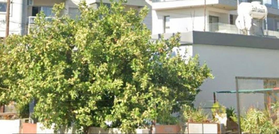 Photo of Others in Limassol