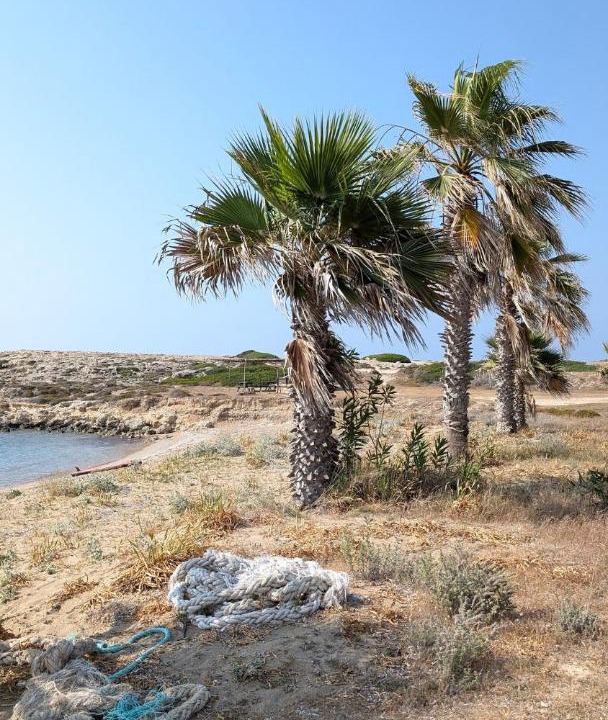 Photo of Others in Dipkarpaz