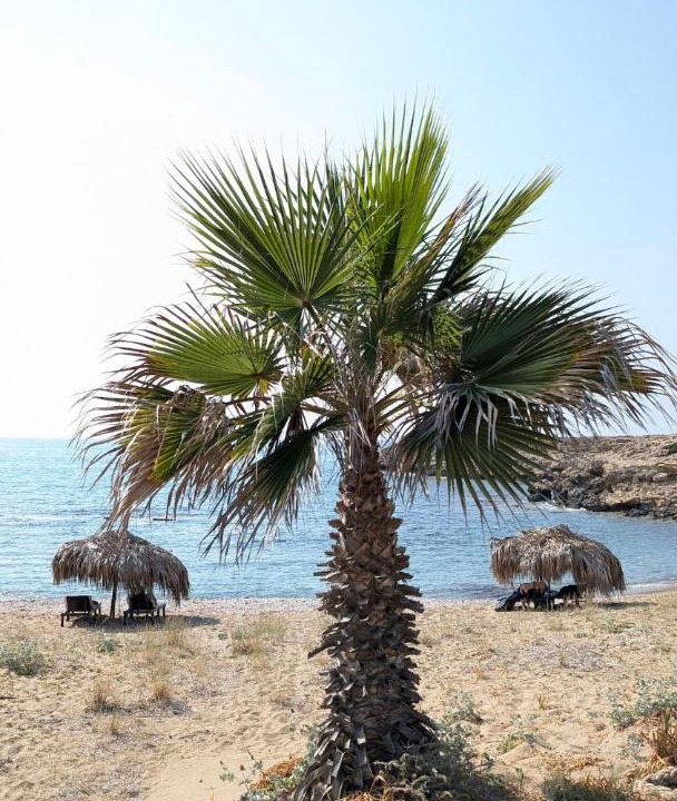 Photo of Others in Dipkarpaz