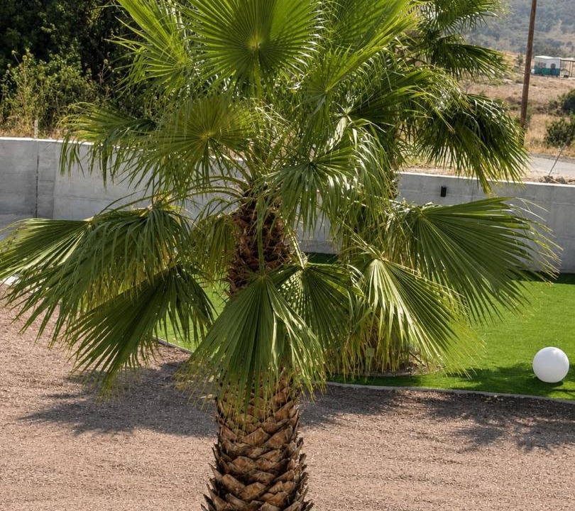 Photo of Outdoor in Lara