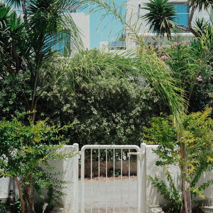 Photo of Others in Chlorakas