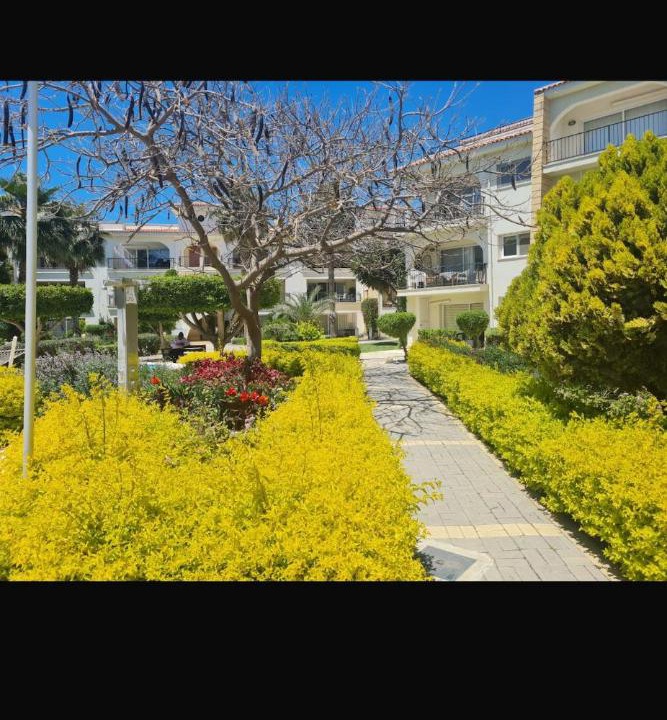 Photo of Others in Strovolos