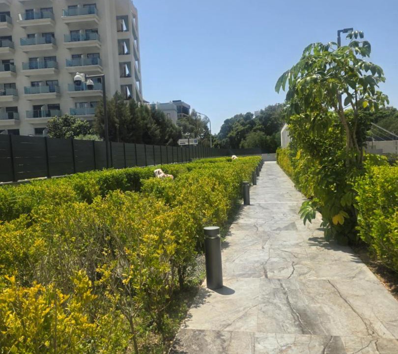 Photo of Others in Potamos tis Germasogeias
