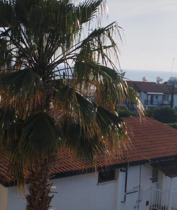 Photo of Others in Paphos