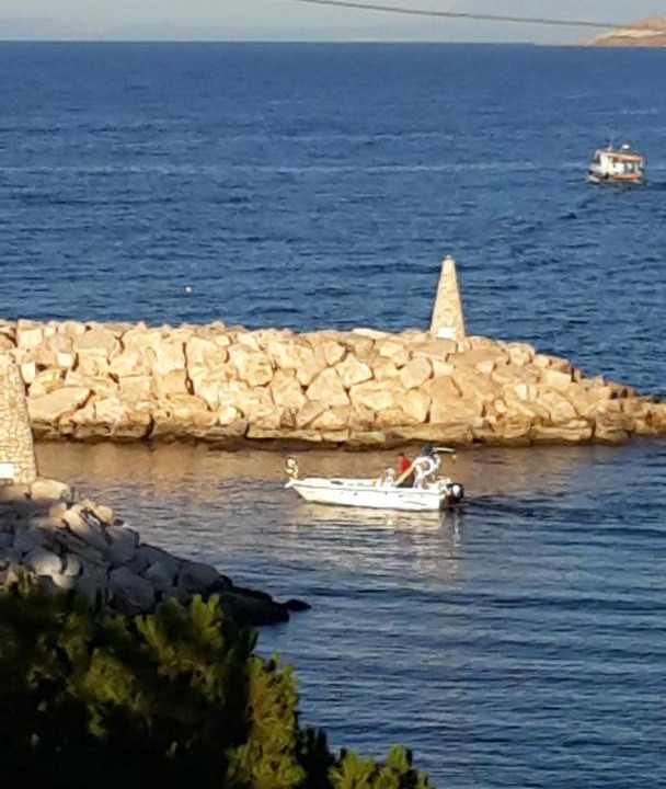 Photo of Others in Pomos
