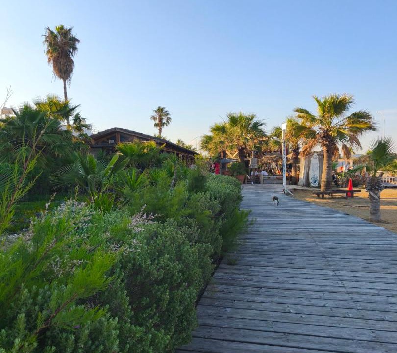 Photo of Others in Skala