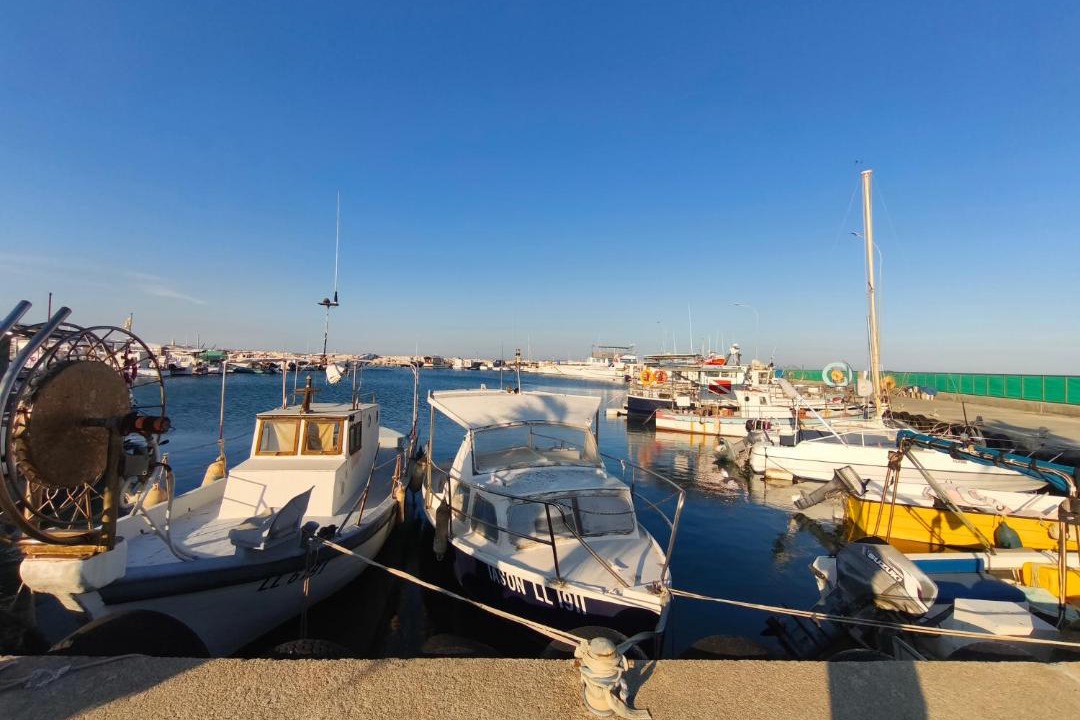Photo of Others in Skala
