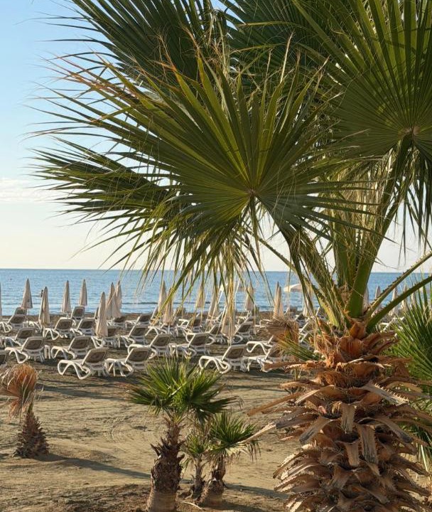 Photo of Others in Larnaca
