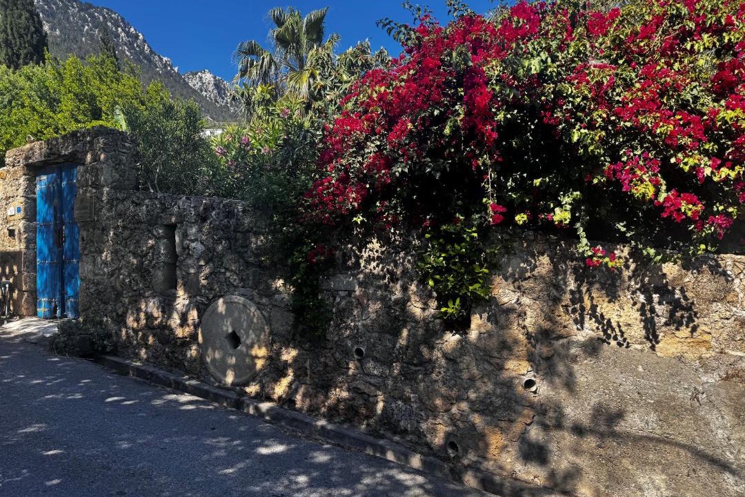 Photo of Others in Kyrenia District